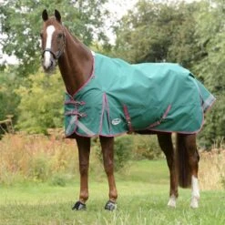 Weatherbeeta Regendecke Comfitec Plus Dynamic II Standard Neck Lite Grün/Grau/Rot