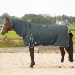Harry's Horse Outdoordecke Thor 200 Mit Hals Ebenholz