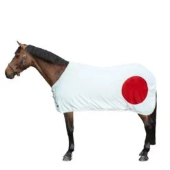 HKM Abschwitzdecke Flags Flag Japan 125/175