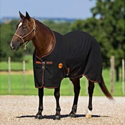 Rambo Ionic Stable Sheet Schwarz/Schwarz & Orange Gestreift -TRUS Pferd Geschaft 44488700.657f45