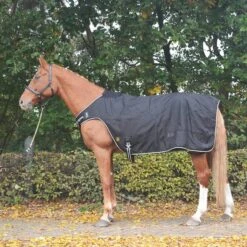 BR Decke Mit Sattelausschnitt Classic 1200D 150g Schwarz -TRUS Pferd Geschaft 44625541.8a13f7
