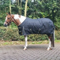 BR Regendecke Classic 1200D - 0g Schwarz -TRUS Pferd Geschaft 44625637.37788b