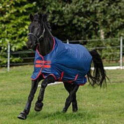 Mio Turnout Medium 200g Schwarz/Türkis -TRUS Pferd Geschaft 44634613.4fa830