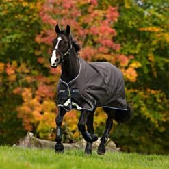 Amigo Turnout Bravo 12 100g Leg Arches Excal/Strong Blue/Black