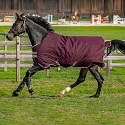 Amigo Hero Ripstop 100g Fig/Navy/Tan