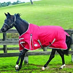 Weatherbeeta Medium Turnout Rug Comfitec Classic Standard Neck 220g Red/Silver/Navy -TRUS Pferd Geschaft 44639265.d8f7ec