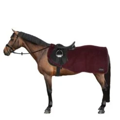 Kentucky Horsewear Ausreitdecke Heavy Fleece Navy -TRUS Pferd Geschaft 44743466.d01606