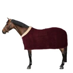 Kentucky Horsewear Kentucky Abschwitzdecke Show Fleece Heavy Schwarz -TRUS Pferd Geschaft 44743533.a85a57