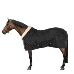 HB Showtime Showdecke Desire160gr Schwarz