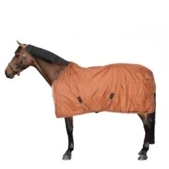 Kentucky Horsewear Kentucky Turnout All Weather 160g Violett -TRUS Pferd Geschaft 44850185.6475d1 2