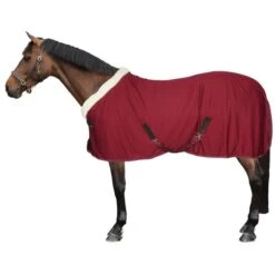 EQUITHÈME Cooler Teddy Weinrot/Cremeweiß -TRUS Pferd Geschaft 44965327.182e17