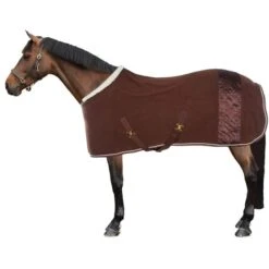 HKM Abschwitzdecke Basil Dunkelgrün 125/175 -TRUS Pferd Geschaft 44988503.859d00