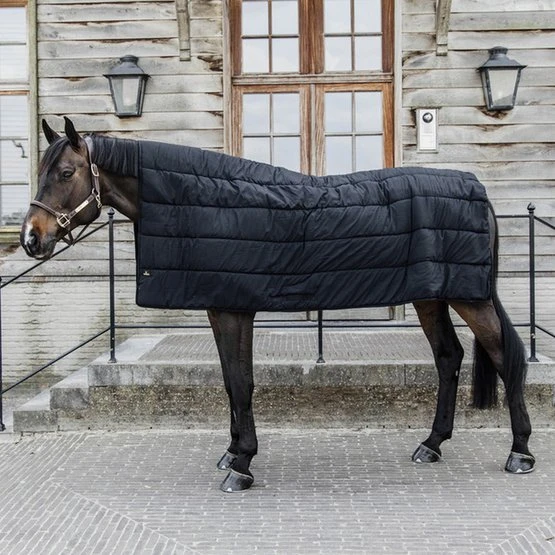 Kentucky Horsewear Kentucky Decke Horse Duvet 300g Schwarz 200x180 1 Kentucky Horsewear Kentucky Decke Horse Duvet 300g Schwarz 200x180