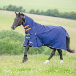 Highlander Original Winterdecke Turnout Combo 100g Navy