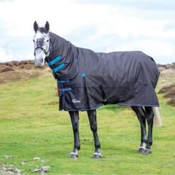 Highlander Original Winterdecke Turnout 200g Combo Schwarz