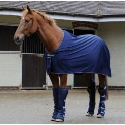 Bucas Power Cooler Navy/Silber