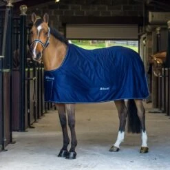 Bucas Shamrock Power Black/Silver -TRUS Pferd Geschaft a1087410 1.0253df