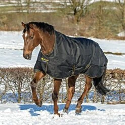 Bucas Irish Turnout Extra High Neck 300g Black/Gold 125/168