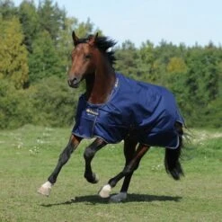 Bucas Irish Turnout Extra 300g Schwarz/Gold -TRUS Pferd Geschaft a1088248 1.5f4ee2 1