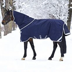 Rambo Original Turnout Medium 200g Navy/Rot 125/175 -TRUS Pferd Geschaft a1092605.64b48a