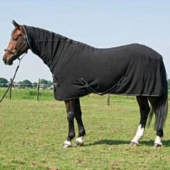 Harry's Horse Fleecedecke Deluxe Mit Halssteil Schwarz -TRUS Pferd Geschaft a1153960.6c2d95