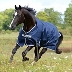 Bucas Freedom Turnout 150g Navy -TRUS Pferd Geschaft a1154514.51ff9f