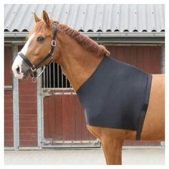 Harry's Horse Brustdecke Lycra Schwarz -TRUS Pferd Geschaft agradi 4038111 5.c49e48