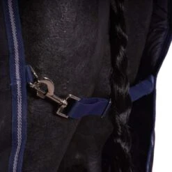 Amigo Bravo 12 Turnout Heavy 400g Navy/Weiß -TRUS Pferd Geschaft agradi 44245036 3.9e9cda