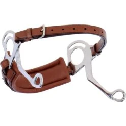 Stübben Hackamore Schwarz -TRUS Pferd Geschaft agradi 44515603 1.e7363d