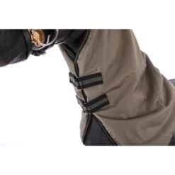 Horka Deckenhals Dime 600D, 100g Gefüttert Petrol -TRUS Pferd Geschaft agradi 44543912 2.d1438a 3