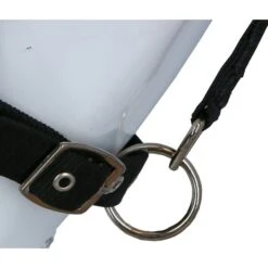 Harry's Horse Fliegenmaske Halfter Mit Ohren -TRUS Pferd Geschaft agradi 445904032 5.6f115e