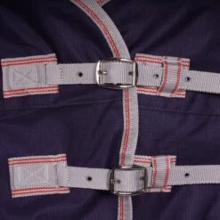 Weatherbeeta Medium Plus Turnout Rug Comfitec Essential Standard Neck 220g Navy/Silver/Red -TRUS Pferd Geschaft agradi 44638249 1.aee964 1