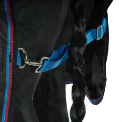 Highlander Original Winterdecke Turnout 200g Combo Schwarz -TRUS Pferd Geschaft agradi 44692022 7.da8775