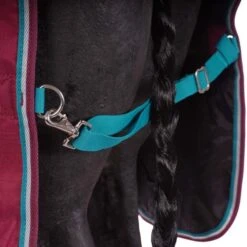 Highlander Original Winterdecke Turnout Combo 300g Himbeerrot -TRUS Pferd Geschaft agradi 44692592 7.bc5d40