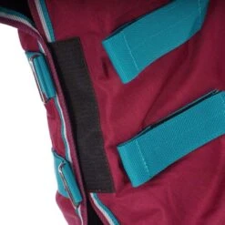 Highlander Original Winterdecke Turnout Combo 300g Himbeerrot -TRUS Pferd Geschaft agradi 44692592 8.6a3677