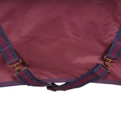 Bucas Freedom Turnout 150g Ginger/Navy -TRUS Pferd Geschaft agradi 44738257 3.2beec4