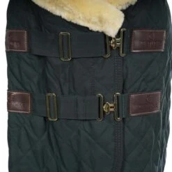 Kentucky Horsewear Kentucky Showdecke 160g Dunkelgrün -TRUS Pferd Geschaft agradi 44743420 1.e401ce