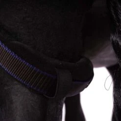 Weatherbeeta Winterdecke Comfitec Ultra Cozi IIDetach-A-Neck 220g Charcoal/Blau/Weiß -TRUS Pferd Geschaft agradi 44747539 8.62bbe3