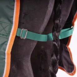 Tempest Original Regendecke Typhoon Lite Grün 130/180 -TRUS Pferd Geschaft agradi 44807482 5.7e9d9e