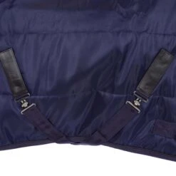 EQUITHÈME Stalldecke Teddy 200g Grün/Braun -TRUS Pferd Geschaft agradi 44810325 4.d73cf7