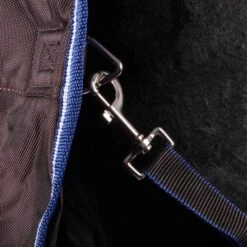 Weatherbeeta Winterdecke Comfitec Ultra Cozi II Detach-A-Neck Medium/Lite Charcoal/Blau/Weiß -TRUS Pferd Geschaft agradi 44873958 7.901b5a