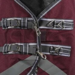 Weatherbeeta Winterdecke Comfitec Plus Dynamic II Combo Neck Medium/Lite Maroon/Grau/Weiß -TRUS Pferd Geschaft agradi 44874140 2.b4a5d7