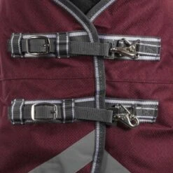 Weatherbeeta Regendecke Comfitec Plus Dynamic II Standard Neck Lite Grün/Grau/Rot -TRUS Pferd Geschaft agradi 44874178 1.b01c6f