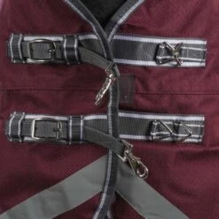 Weatherbeeta Regendecke Comfitec Plus Dynamic II Standard Neck Lite Grün/Grau/Rot -TRUS Pferd Geschaft agradi 44874178 2.77902f