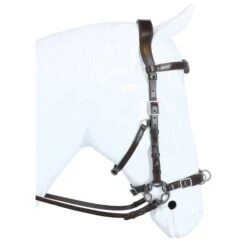F.R.A. Trense Caval Cavemore Leder Mit Anzüge Und Zügel Schwarz -TRUS Pferd Geschaft agradi 44874450 4.854572 1
