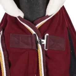 HB Harry & Hector Showdecke Dutch Crown Little Sizes Burgunderrot -TRUS Pferd Geschaft agradi 44906110 2.7e240b 1