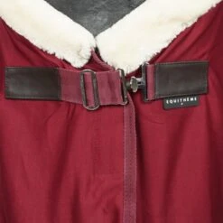 EQUITHÈME Cooler Teddy Weinrot/Cremeweiß -TRUS Pferd Geschaft agradi 44965327 1.d4dd47