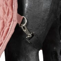 HB Showdecke Velvet Peach Tropical 160g Pfirsichfarben -TRUS Pferd Geschaft agradi 44987702 4.cc5ea9