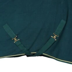 Waldhausen Abschwitzdecke Modern Rosé Fir Green/Gold -TRUS Pferd Geschaft agradi 45028754 6.3695a7