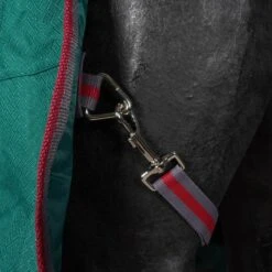 Weatherbeeta Regendecke Comfitec Plus Dynamic II Standard Neck Lite Grün/Grau/Rot -TRUS Pferd Geschaft agradi 45075993 6.c7d50d